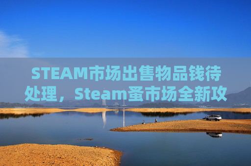 STEAM市场出售物品钱待处理，Steam蚤市场全新攻略，解锁资源，玩转乐趣全攻略