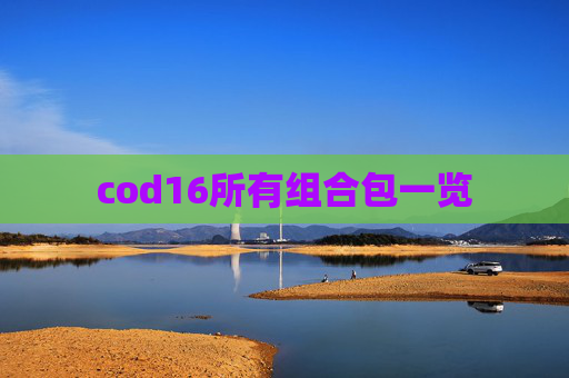 cod16所有组合包一览