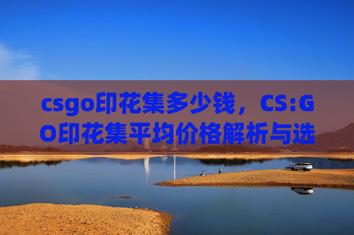 csgo印花集多少钱，CS:GO印花集平均价格解析与选品攻略，助你高效获取稀有道具