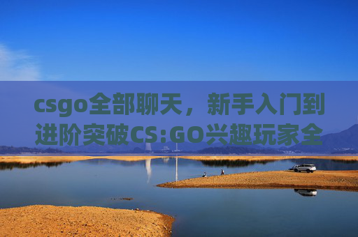 csgo全部聊天，新手入门到进阶突破CS:GO兴趣玩家全方位攻略，从零掌握游戏技巧与节奏