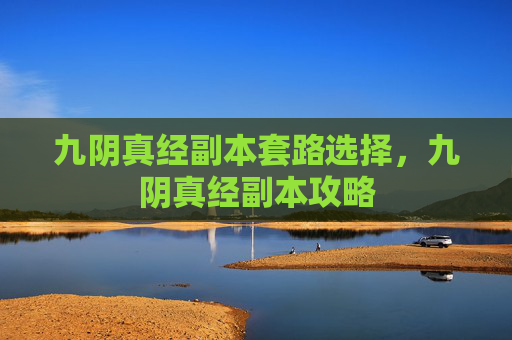 九阴真经副本套路选择，九阴真经副本攻略