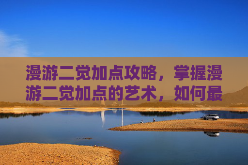 漫游二觉加点攻略，掌握漫游二觉加点的艺术，如何最大化你的输出潜力