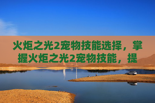 火炬之光2宠物技能选择,掌握火炬之光2宠物技能,提升战斗效率与策略深度 火炬之光2宠物技能选择,掌握火炬之光2宠物技能,提升战斗效率与策略深度