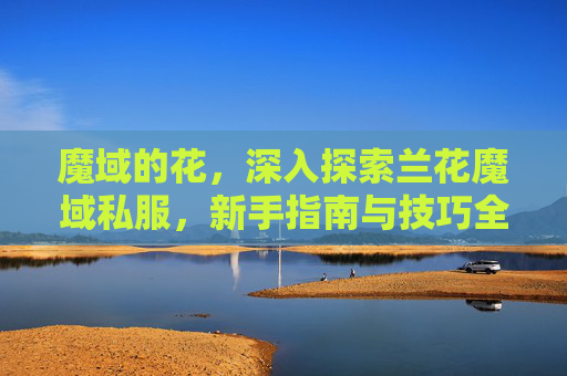 魔域的花，深入探索兰花魔域私服，新手指南与技巧全解析
