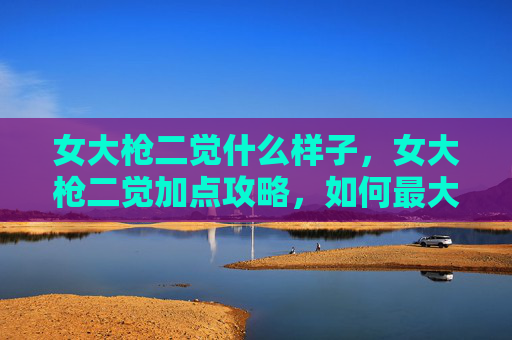 女大枪二觉什么样子，女大枪二觉加点攻略，如何最大化你的输出能力