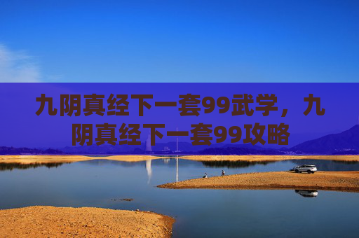 九阴真经下一套99武学，九阴真经下一套99攻略