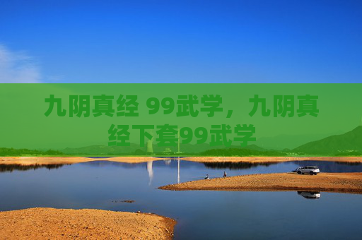 九阴真经 99武学，九阴真经下套99武学