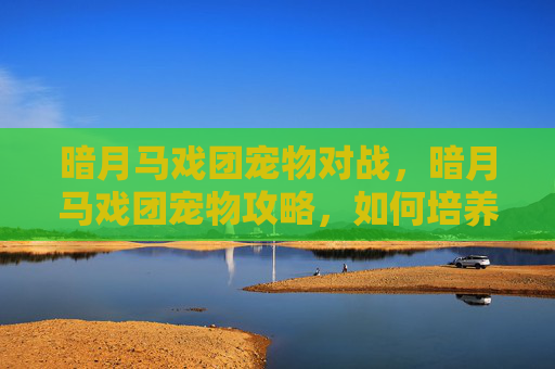 暗月马戏团宠物对战,暗月马戏团宠物攻略,如何培养你的小马戏团明星 暗月马戏团宠物对战,暗月马戏团宠物攻略,如何培养你的小马戏团明星