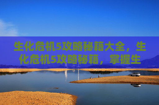 生化危机5攻略秘籍大全，生化危机5攻略秘籍，掌握生存之道
