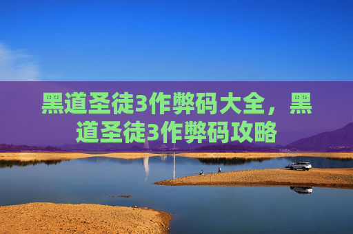 黑道圣徒3作弊码大全,黑道圣徒3作弊码攻略 黑道圣徒3作弊码大全,黑道圣徒3作弊码攻略