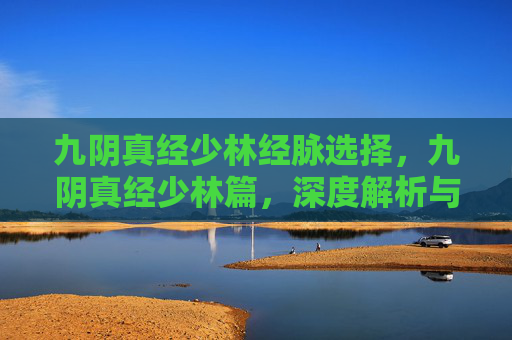 九阴真经少林经脉选择,九阴真经少林篇,深度解析与实战技巧 九阴真经少林经脉选择,九阴真经少林篇,深度解析与实战技巧