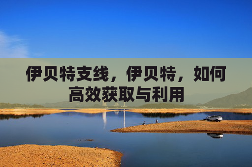 伊贝特支线,伊贝特,如何高效获取与利用 伊贝特支线,伊贝特,如何高效获取与利用