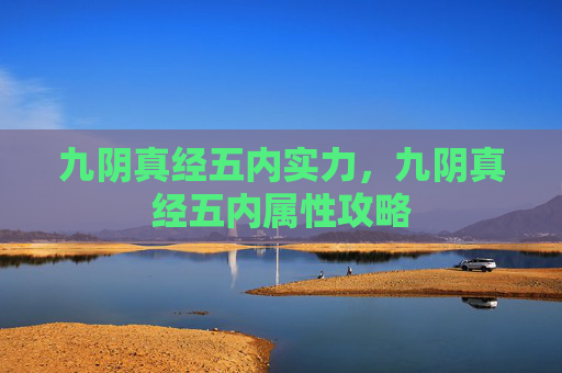 九阴真经五内实力，九阴真经五内属性攻略