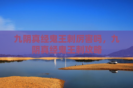 九阴真经鬼王刺厉害吗，九阴真经鬼王刺攻略