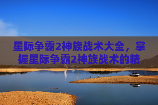星际争霸2神族战术大全,掌握星际争霸2神族战术的精髓 星际争霸2神族战术大全,掌握星际争霸2神族战术的精髓