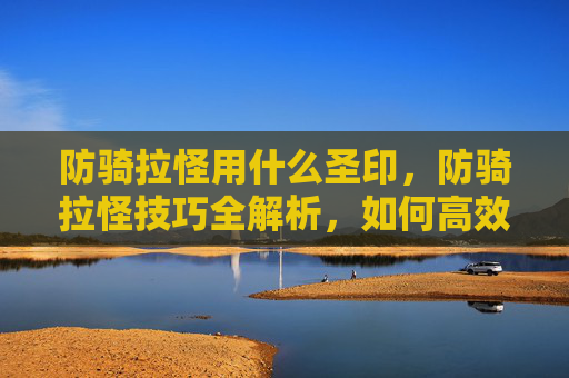 防骑拉怪用什么圣印,防骑拉怪技巧全解析,如何高效管理你的团队 防骑拉怪用什么圣印,防骑拉怪技巧全解析,如何高效管理你的团队