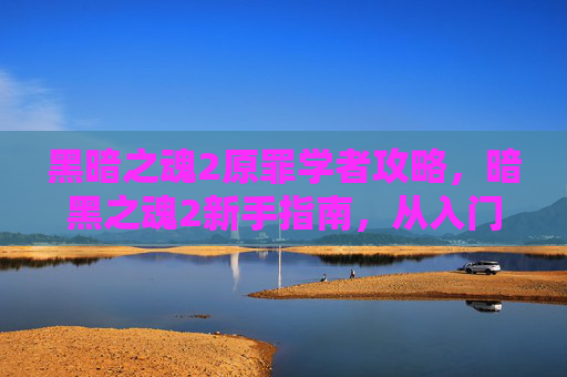 黑暗之魂2原罪学者攻略,暗黑之魂2新手指南,从入门到精通的全面攻略 黑暗之魂2原罪学者攻略,暗黑之魂2新手指南,从入门到精通的全面攻略