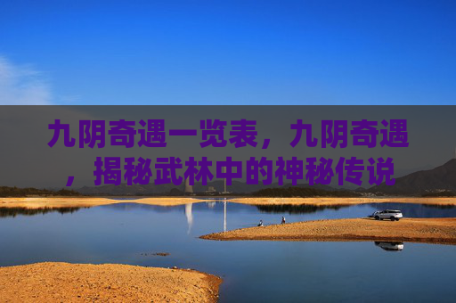 九阴奇遇一览表,九阴奇遇,揭秘武林中的神秘传说 九阴奇遇一览表,九阴奇遇,揭秘武林中的神秘传说