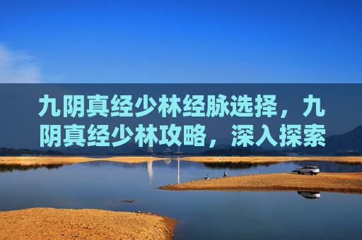 九阴真经少林经脉选择，九阴真经少林攻略，深入探索与实践