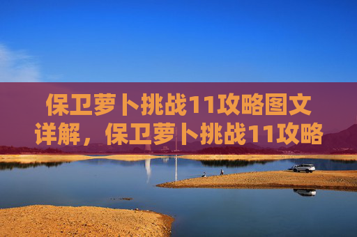 保卫萝卜挑战11攻略图文详解，保卫萝卜挑战11攻略