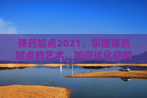弹药加点2021,掌握弹药加点的艺术,如何优化你的射击体验 弹药加点2021,掌握弹药加点的艺术,如何优化你的射击体验