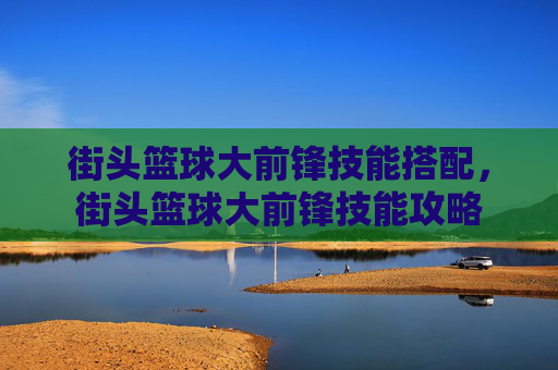 街头篮球大前锋技能搭配，街头篮球大前锋技能攻略