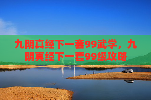 九阴真经下一套99武学，九阴真经下一套99级攻略