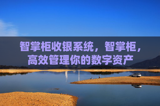 智掌柜收银系统，智掌柜，高效管理你的数字资产