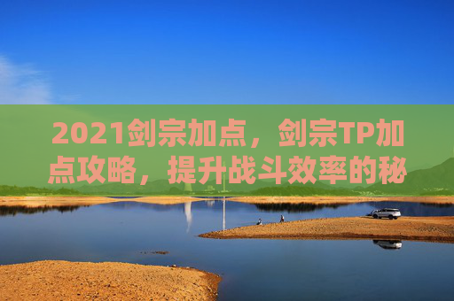 2021剑宗加点，剑宗TP加点攻略，提升战斗效率的秘诀