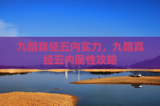 九阴真经五内实力，九阴真经五内属性攻略