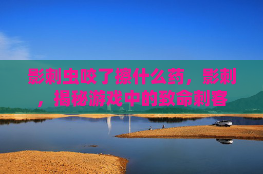 影刺虫咬了擦什么药，影刺，揭秘游戏中的致命刺客