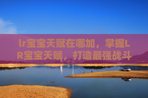 lr宝宝天赋在哪加,掌握LR宝宝天赋,打造最强战斗伙伴 lr宝宝天赋在哪加,掌握LR宝宝天赋,打造最强战斗伙伴