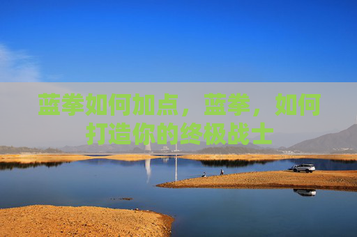 蓝拳如何加点,蓝拳,如何打造你的终极战士 蓝拳如何加点,蓝拳,如何打造你的终极战士
