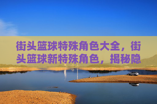 街头篮球特殊角色大全,街头篮球新特殊角色,揭秘隐藏力量,解锁全新玩法 街头篮球特殊角色大全,街头篮球新特殊角色,揭秘隐藏力量,解锁全新玩法