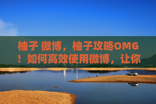 柚子 微博，柚子攻略OMG！如何高效使用微博，让你的社交圈更上一层楼？