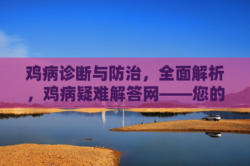鸡病诊断与防治，全面解析，鸡病疑难解答网——您的健康养殖顾问