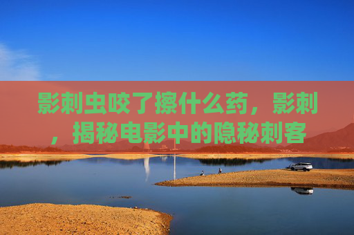 影刺虫咬了擦什么药，影刺，揭秘电影中的隐秘刺客