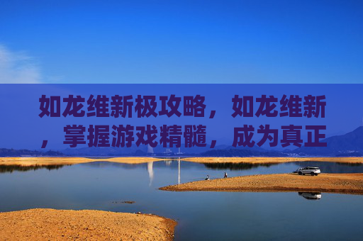 如龙维新极攻略，如龙维新，掌握游戏精髓，成为真正的如龙