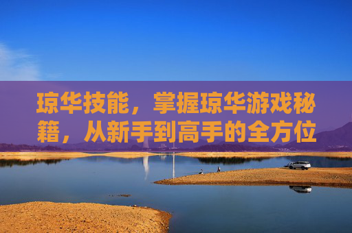 琼华技能，掌握琼华游戏秘籍，从新手到高手的全方位攻略