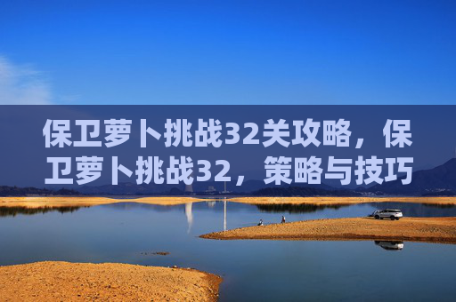 保卫萝卜挑战32关攻略,保卫萝卜挑战32,策略与技巧全解析 保卫萝卜挑战32关攻略,保卫萝卜挑战32,策略与技巧全解析