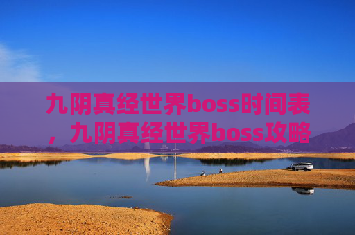 九阴真经世界boss时间表，九阴真经世界boss攻略