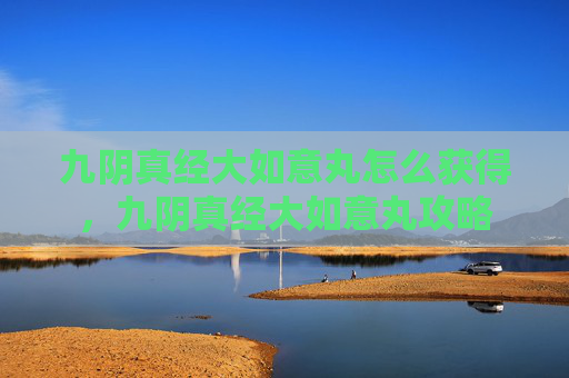 九阴真经大如意丸怎么获得,九阴真经大如意丸攻略 九阴真经大如意丸怎么获得,九阴真经大如意丸攻略