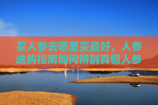 买人参去哪里买最好，人参选购指南如何辨别真假人参，挑选最适合您的滋补佳品