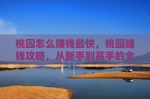 桃园怎么赚钱最快,桃园赚钱攻略,从新手到高手的全方位指南 桃园怎么赚钱最快,桃园赚钱攻略,从新手到高手的全方位指南