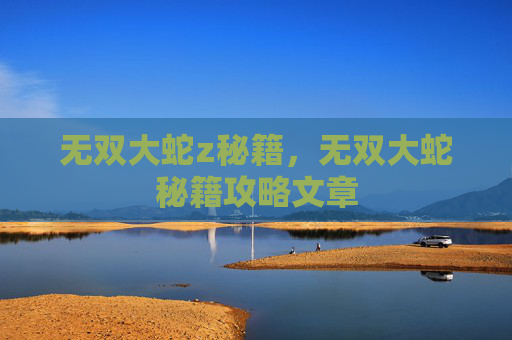 无双大蛇z秘籍，无双大蛇秘籍攻略文章