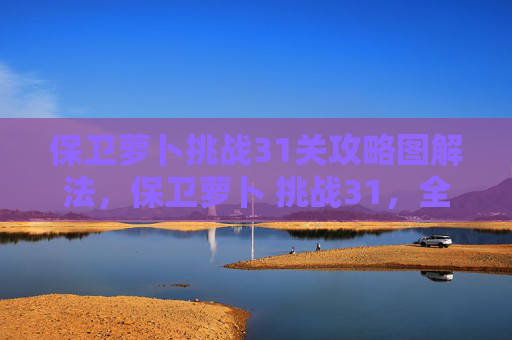 保卫萝卜挑战31关攻略图解法，保卫萝卜 挑战31，全面攻略