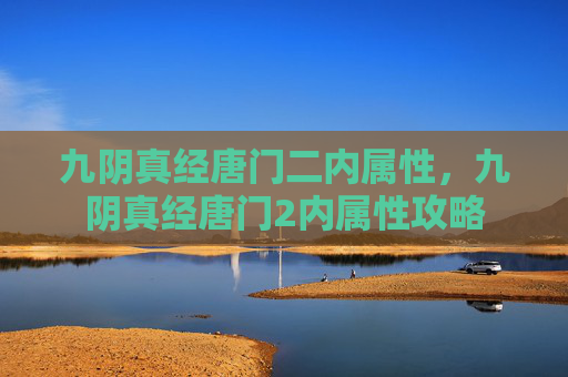 九阴真经唐门二内属性，九阴真经唐门2内属性攻略