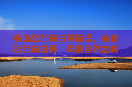 会唱歌的向日葵简谱,会唱歌的向日葵,探索自然之美与音乐的和谐交响 会唱歌的向日葵简谱,会唱歌的向日葵,探索自然之美与音乐的和谐交响