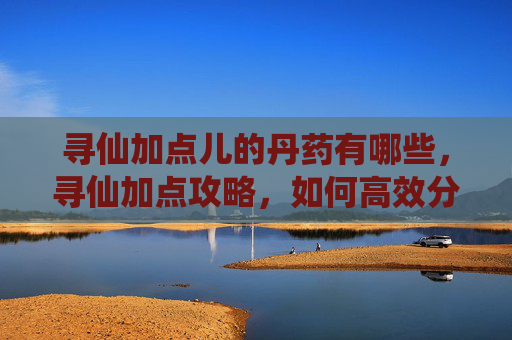 寻仙加点儿的丹药有哪些,寻仙加点攻略,如何高效分配角色属性以提升战斗效率? 寻仙加点儿的丹药有哪些,寻仙加点攻略,如何高效分配角色属性以提升战斗效率?