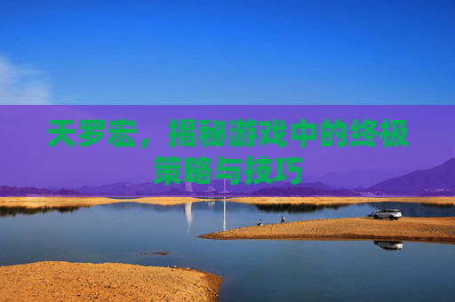 天罗宏,揭秘游戏中的终极策略与技巧 天罗宏,揭秘游戏中的终极策略与技巧